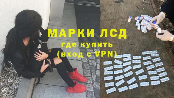 спайс Арсеньев