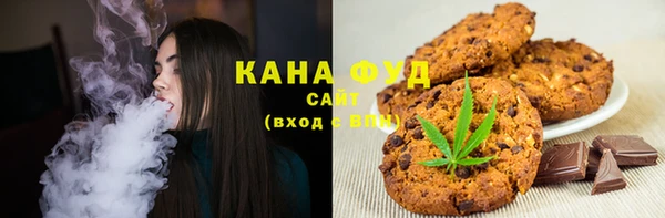 индика Армянск