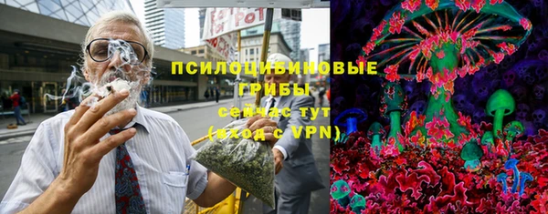 индика Армянск