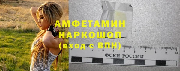 прущие грибы Сатка