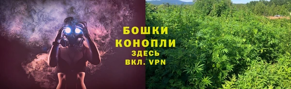 дживик Лабытнанги
