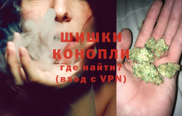 спайс Арсеньев