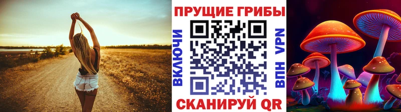 дарк нет формула  Сычёвка  Псилоцибиновые грибы ЛСД 