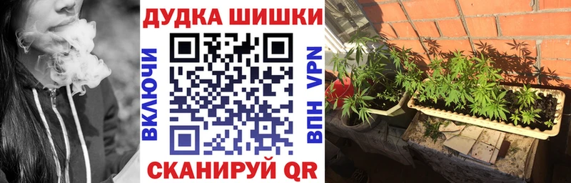 Шишки марихуана THC 21% Сычёвка